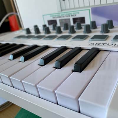 Arturia MiniLab MkII 25-Key MIDI Controller 2017 - Present - White image 6