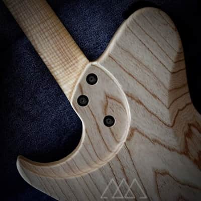 Vergnaud Bariton Djent'o'Caster 2020 (Grey Smoke Purple) image 16