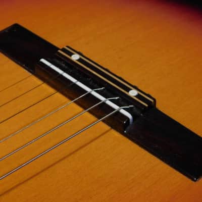 rare vintage Clarissa by Polverini Bros parlor Blues GUITAR chitarra Italy 1960s image 16