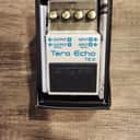 Boss Te-2  Tera Echo