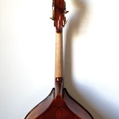 Christopher Academy Gamba bass,  1/10, 1/8, 1/4, 1/2, 3/4 image 9