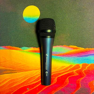 Sennheiser e835 Handheld Cardioid Dynamic Vocal Microphone 1998 - Present - Dark Grey