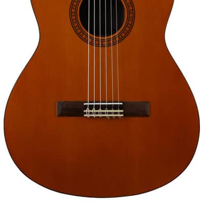 Yamaha CGS103AII 3/4-scale Classical Guitar - Natural image 2
