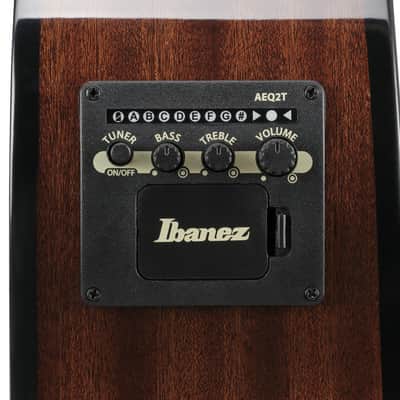 Ibanez AEGB25E-TKH image 8