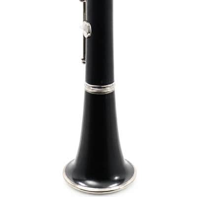 Buffet Crampon R13 Professional Bb Clarinet in Grenadilla SN 542908 image 10