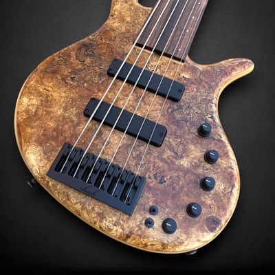Elrick EVO Gold 5 String Spalted Maple Burl 2025 - Natural image 3