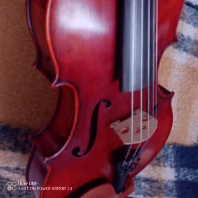 Very fine Viola 5 Strings A.Eastman 2009 image 3
