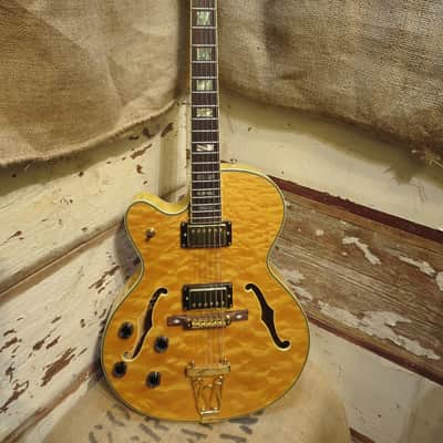Schecter Jazz Elite Hollowbody Electric Guitar w/Hardshell Case! image 2