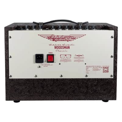 Ashdown Woodsman Classic 40w Acoustic Amp image 5