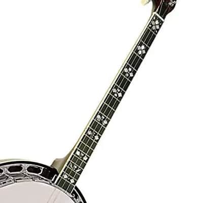 Gold Tone TS-250/L Tenor Special 4-String Banjo w/Hardshell Case For Left Handed Players - (B-Stock) image 6