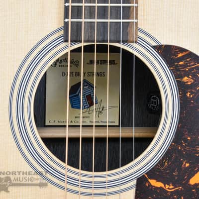 C.F. Martin DX2E Billy Strings Acoustic/Electric Guitar image 8
