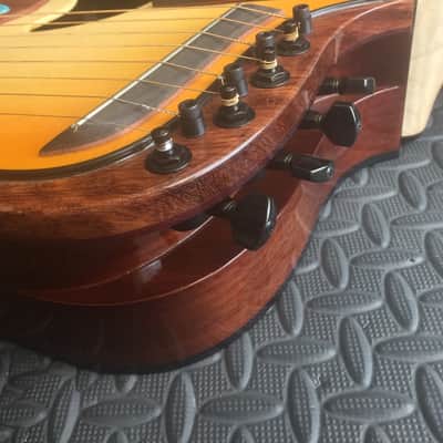 Extraordinary Near Mint Virtuoso Custom Telesis Bespoke 20 String Electro-Acoustic Harp Guitar image 6
