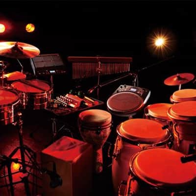 Roland HPD20 Handsonic Hand Percussion Controller image 8