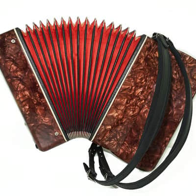 Ukraine Lightweight Piano Accordion for Beginners Kids, New Straps 2297, Folk Musical Instrument, Very Beautiful Sound! image 10