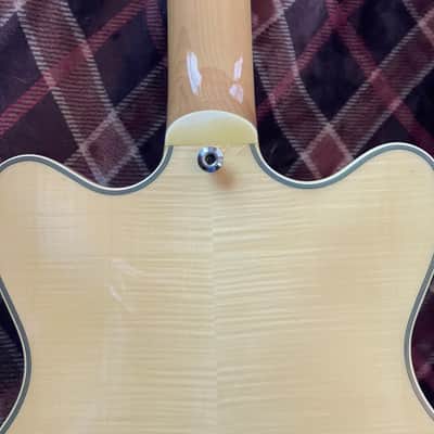 Agile AS820 12 String Semi-hollow Electric Guitar image 5