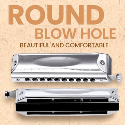 Chromatic Harmonica Valveless for Adult Beginners 10 Hole Harmonica Key of C Stainless Steel Mouth Organ with Brass Reed in Case, C Key Sliver | Brass Reeds Mouth Organ, Protective Storage Case image 2