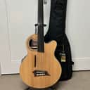 Warwick Rockbass Alien Deluxe Hybrid Thinline 5 String Fretless Acoustic Electric Bass - Natural
