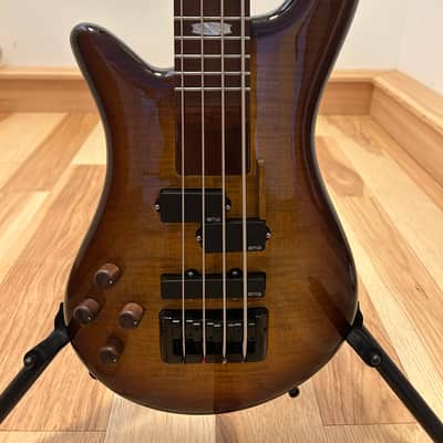 Spector Left Handed modified Euro bolt 4 2024 - Tobacco burst with roasted maple neck image 4