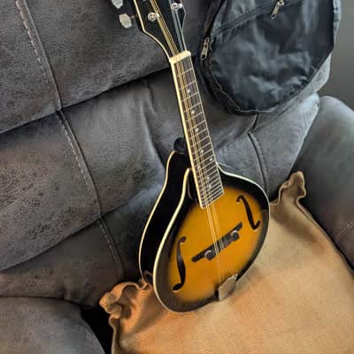 Rover A Style Mandolin w/ New Gig Bag image 2