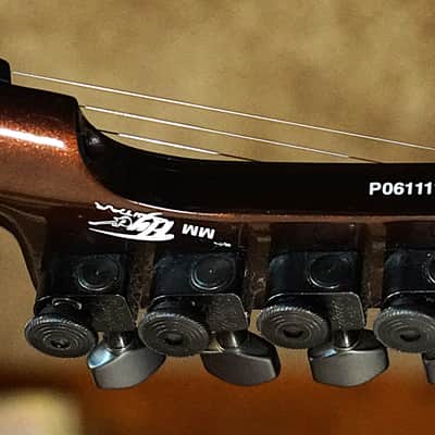 2006 Parker Fly Mojo Mahogany Piezo Duncan Pickups Hard Shell Case Tools 9 and 10 Springs image 11