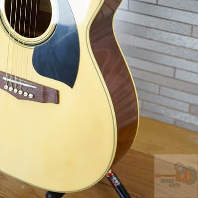 Ibanez PC15ECENT Performance Sapele / Nyatoh Grand Concert with Cutaway - Natural image 8