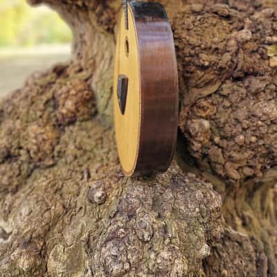 Kobza 4 String Acoustic Guitar Vihuela Ukrainian Folk Traditional Instrument Lute Vintage image 13