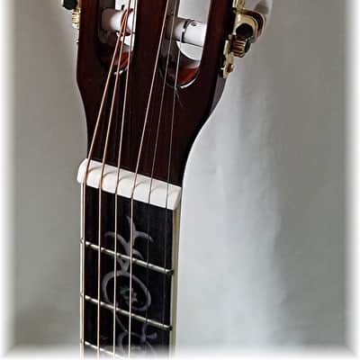 Dillion DF-900 ES Folk Size Acoustic Guitar Natural w/Case image 8