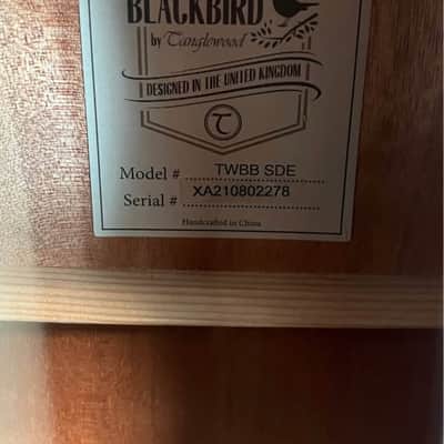 Tanglewood TSBB-SDE Blackbird Dreadnought 2010 - 2019 - Smokestack Black image 2