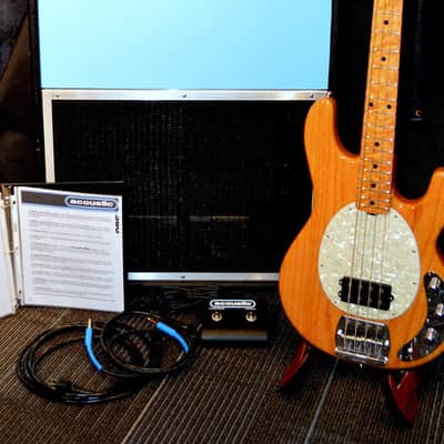 Acoustic 360 and 361 bass amplifier and cabinet made in the USA in 2011 image 1