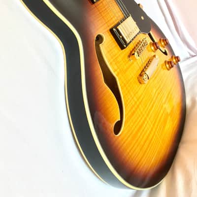 Splendide Guitare électrique Washburn HB35 TS Semi-Acoustique Tobacco Sunburs image 6