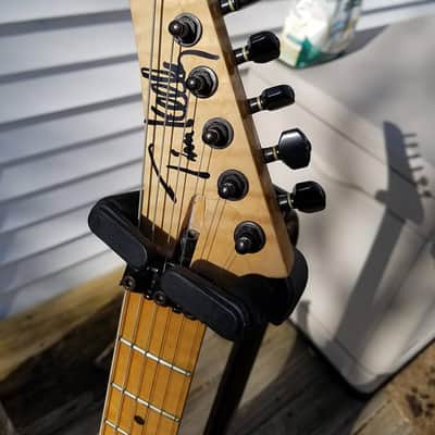 Robin  Medley  1990 owned by Tim Kelly of Slaughter image 2