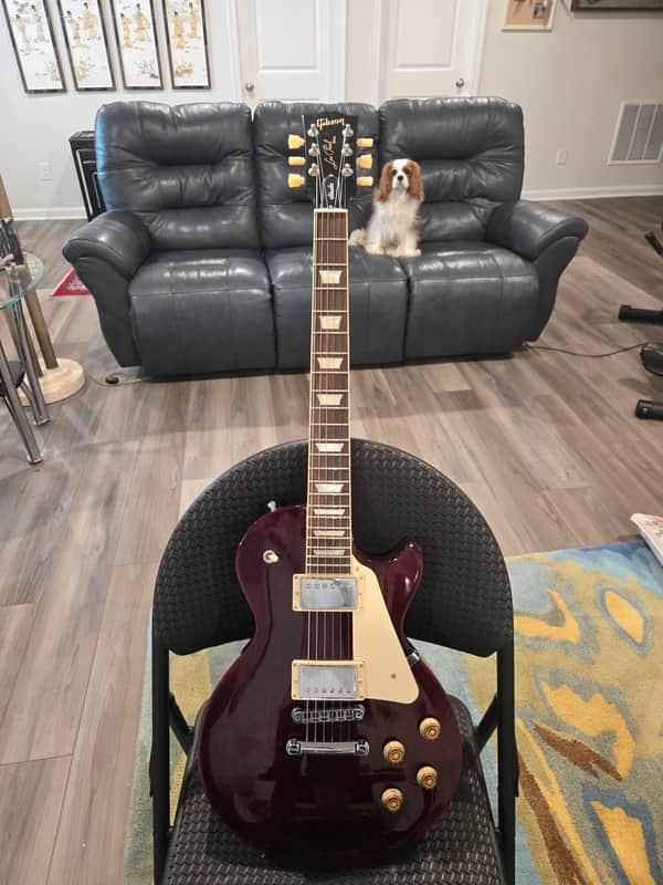 Immagine Gibson Les Paul Studio 2024 - Present - Wine Red - 1