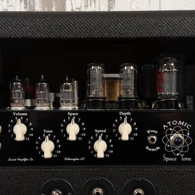 Swart AST Pro 1x12" Combo image 5