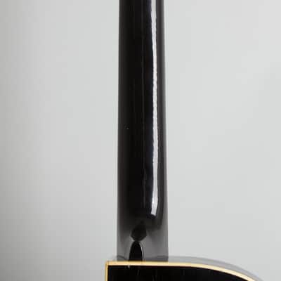 Isana Black Pearl Arch Top Acoustic Guitar (1959), molded fiberglass hard shell case. image 14