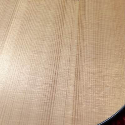 Taylor 114ce-N LTD Ovangkol 2019 - 2020 - Natural image 13