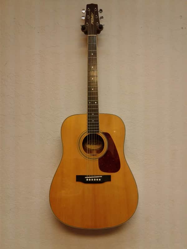 Peavey Indianola acoustic guitar image 1