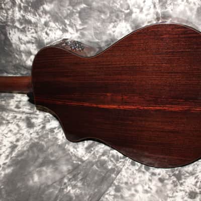 Immagine Breedlove Performer Pro Concert T CE 2024 - Tobacco Burst - 6