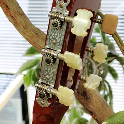 Enrique Tapicas C40 Cadiz Classical Guitar by Washburn - Natural image 11