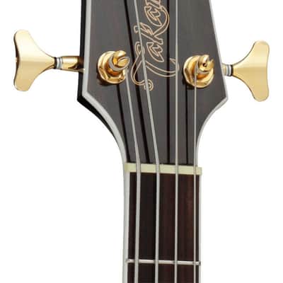 GB72CE-BSB Takamine image 8