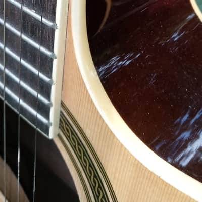 Rogue Acoustic/ Electric image 3