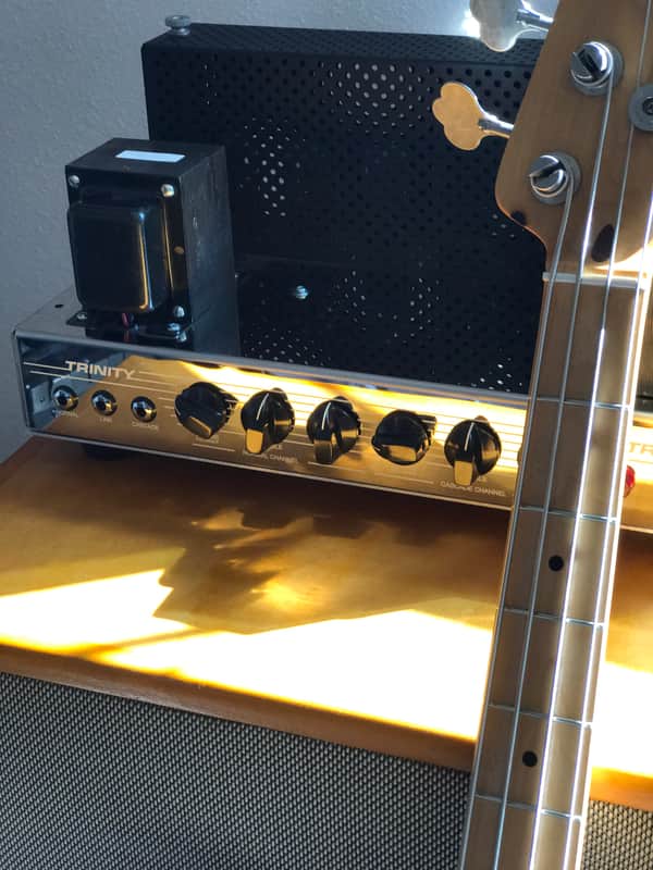 Trinity TripTop (Ampeg B-15 Clone) image 1