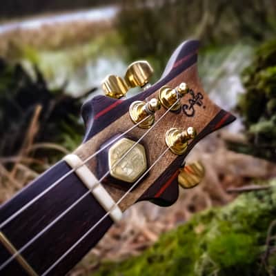 The Indian Eagle II - Rosewood custom cigarbox guitar image 7