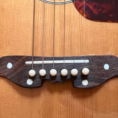 Mosrite Serenade mid-60s w/original case image 10