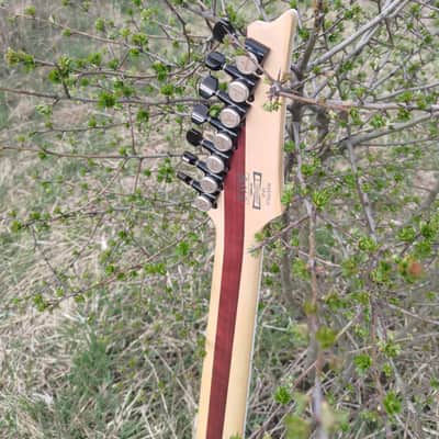 Ibanez RGIX7FDLB-NLB Iron Label 2018 - 2019 - Northern Lights Burst image 19