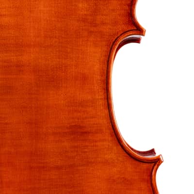 Goffriller Cello 4/4 from One Piece Back - Hand-Made in Romania 2025 #99 image 4