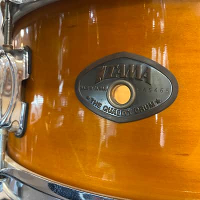 Pearl Session Custom Green Laquer image 4