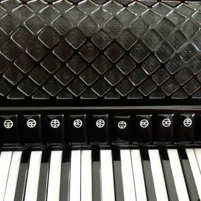 Accordion acordeón Pigini PIGINI 120 bajos image 3