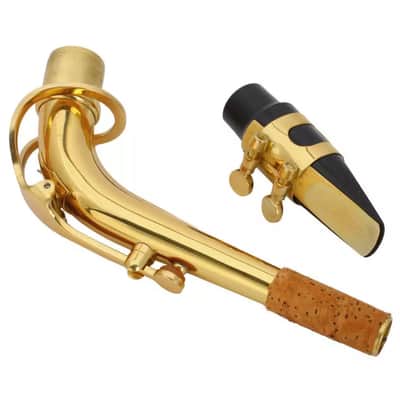 Ktaxon Saxophone Eb Sax Alto E Flat Brass with Mouthpiece & Accessories image 2