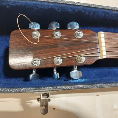 Hascal Haile Dreadnought 1979 - Natural image 4