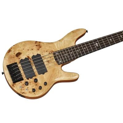 Michael Kelly Pinnacle 5 5-String Bass Guitar image 8